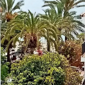 Appartamento Old Town, Estepona